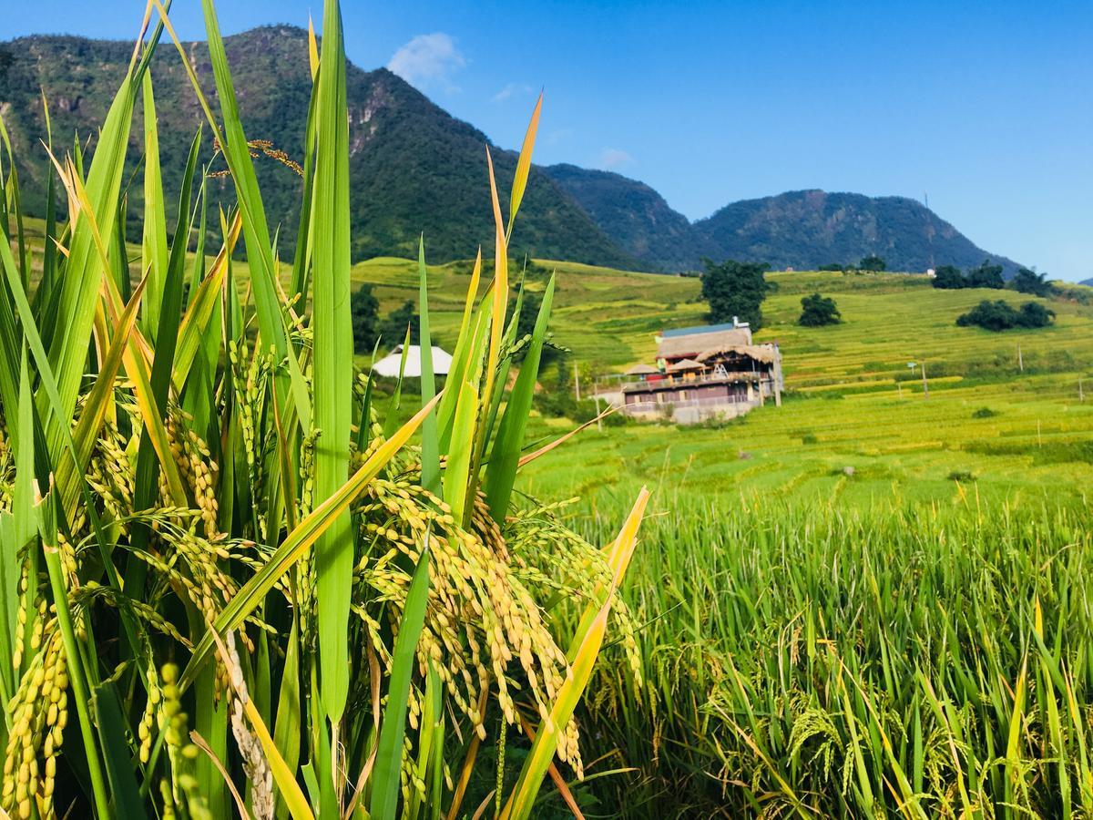 Hoa'S Homestay Sapa Exterior foto